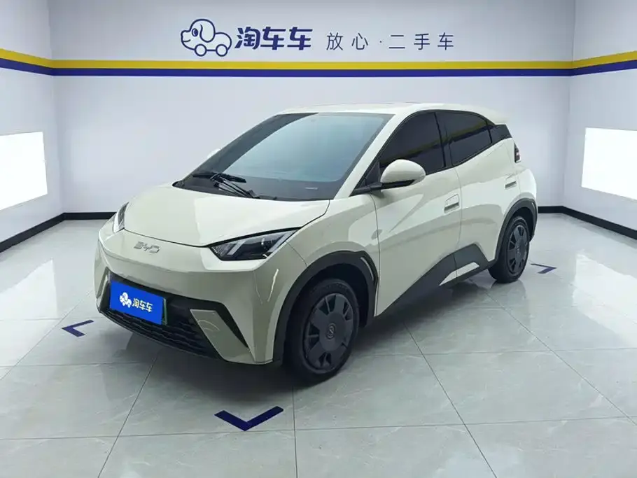 BYD Seagull Glory Edition 305km Vitality Edition 2024