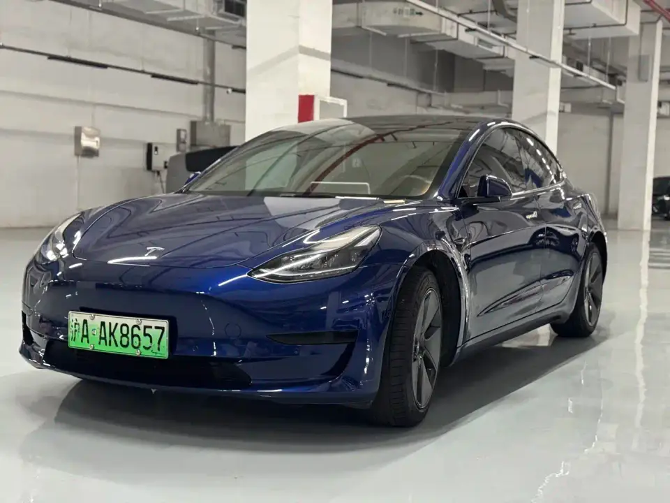 Tesla Model 3 Model Rear-Wheel Drive Version 2022