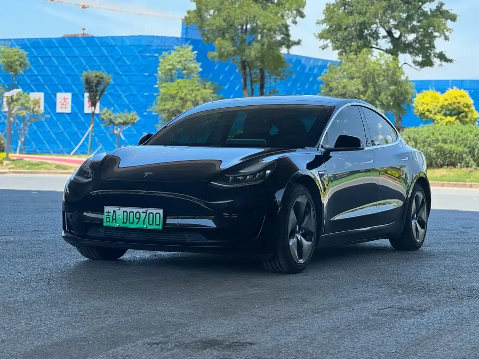 Tesla Model 3 Standard Range Rear-Wheel Drive Upgrade 2020