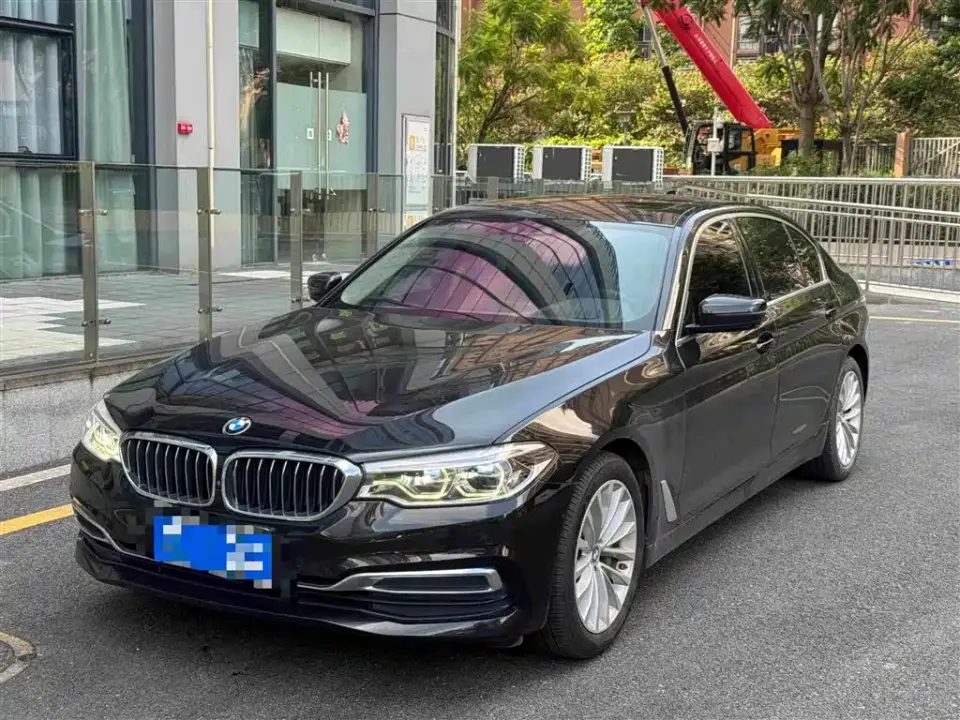 BMW 5 Series 530Li Premium Luxury Package 2020