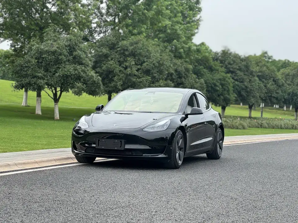 Tesla Model 3 Facelift Standard Range RWD Upgrade 3D1 2021