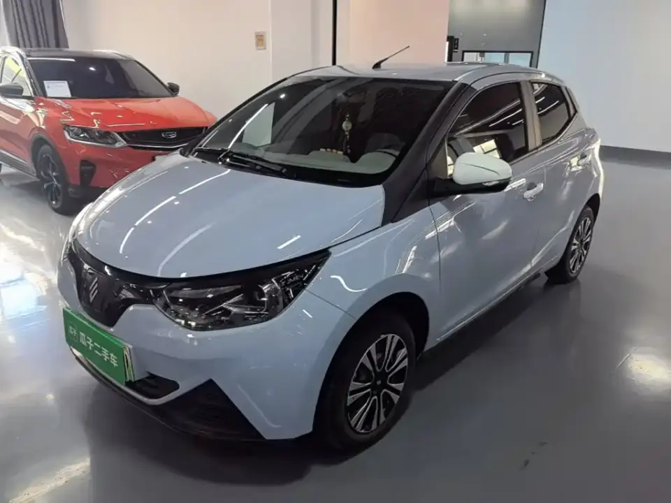JMCG New Energy Little Kirin 201km Comfort Model 2025