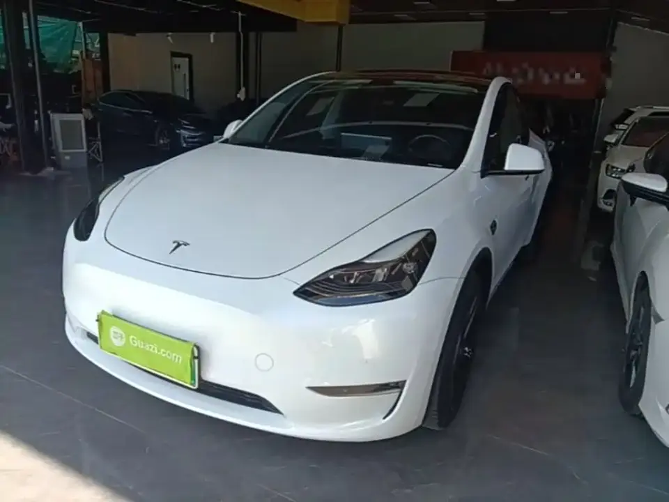 Tesla Model Y Standard Range Rear-Wheel Drive 2021
