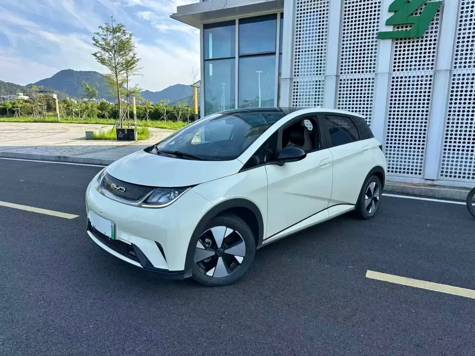 BYD Dolphin 420km Fashion Edition 2024
