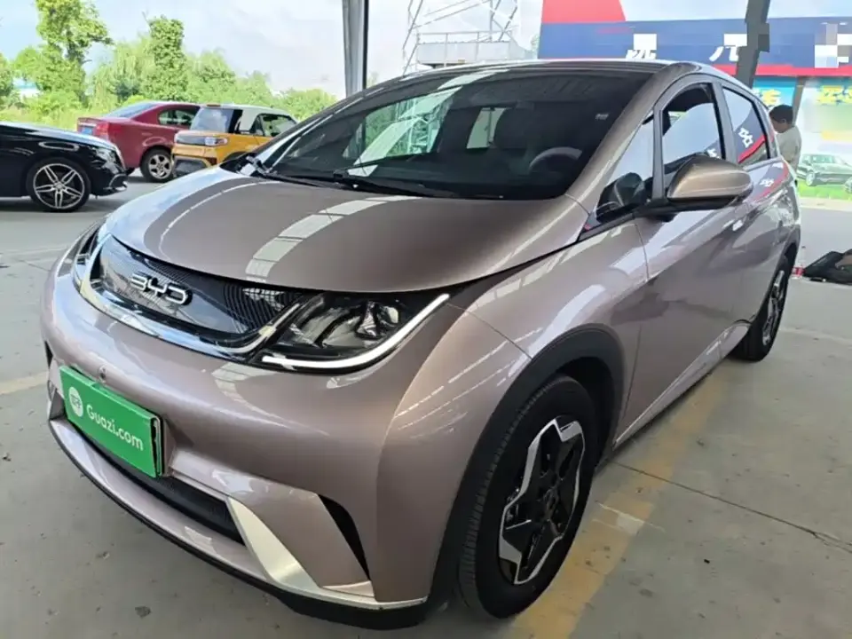 BYD Dolphin 405km Freedom Edition 2022