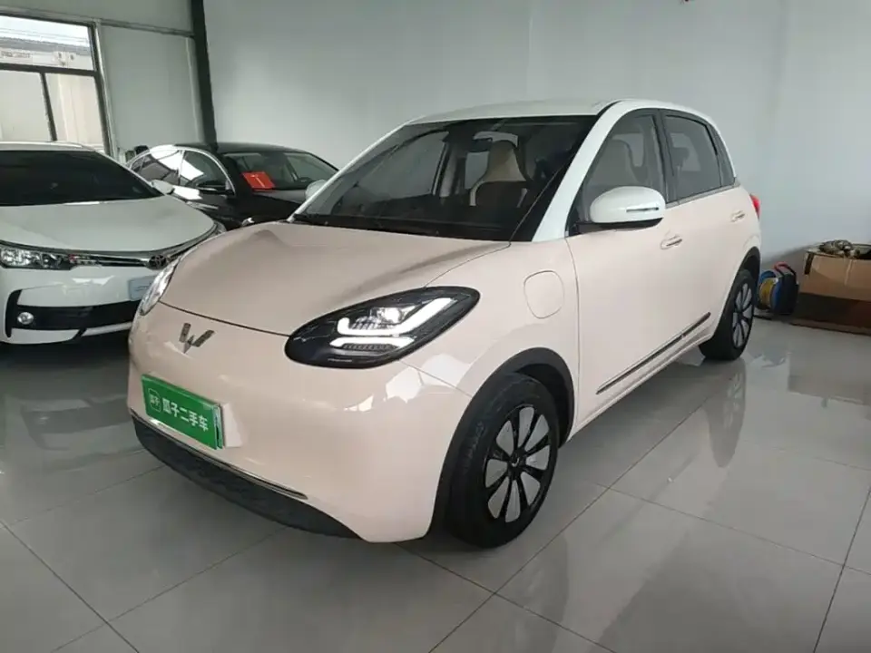 Wuling Motors Wuling Bingo 410km Lingxi Premium Edition 2023