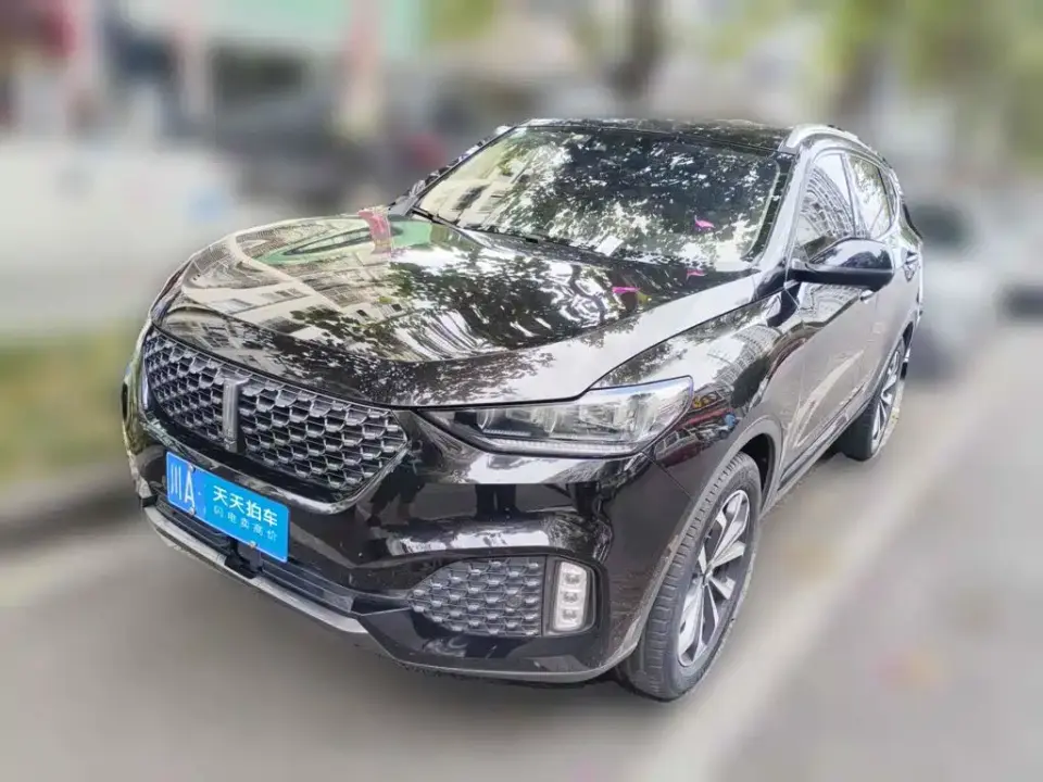 Wey VV6 2.0T 2WD Smart Protection+ 2020