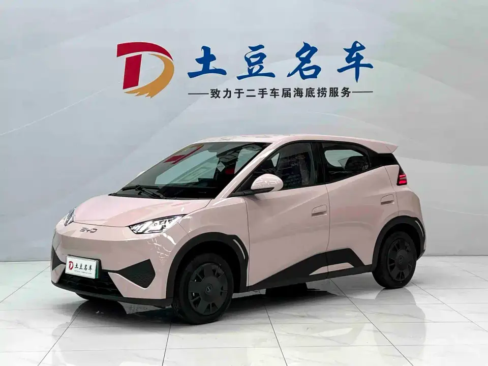BYD Seagull Smart Drive Edition 305km Vitality Version 2026
