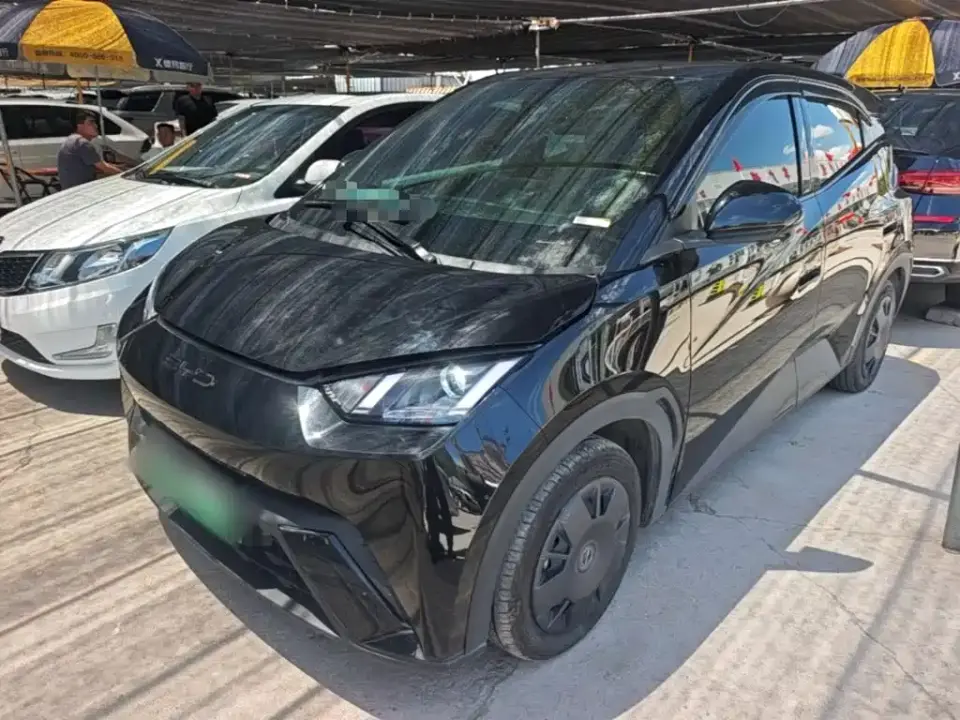 BYD Seagull Vitality Edition 2024