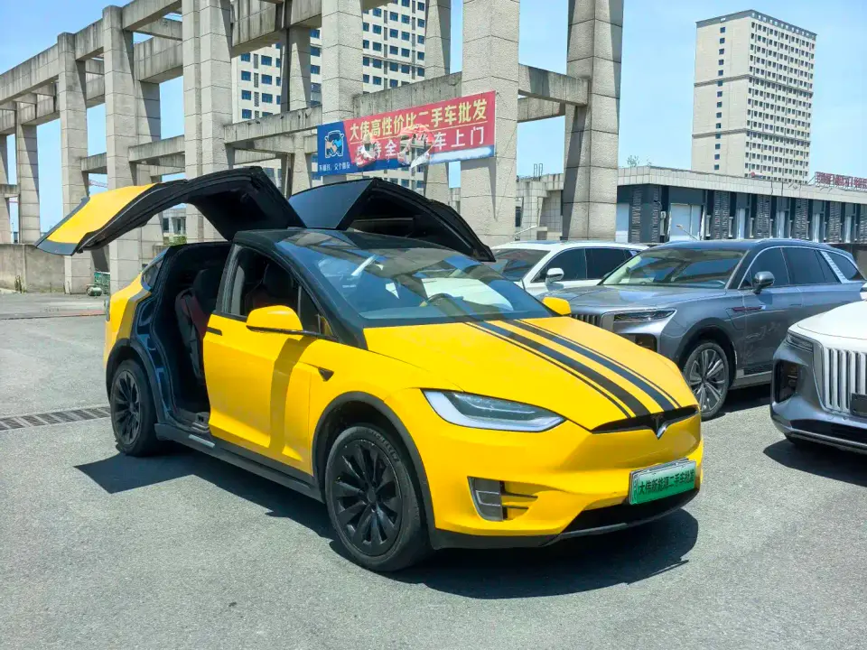 Tesla Model X Model X 100D Long Range 2019