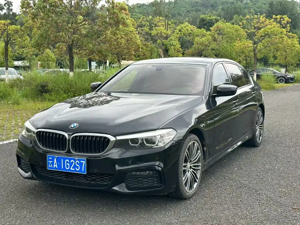 BMW 5 Series 530Li Leading M Sport Package 2019