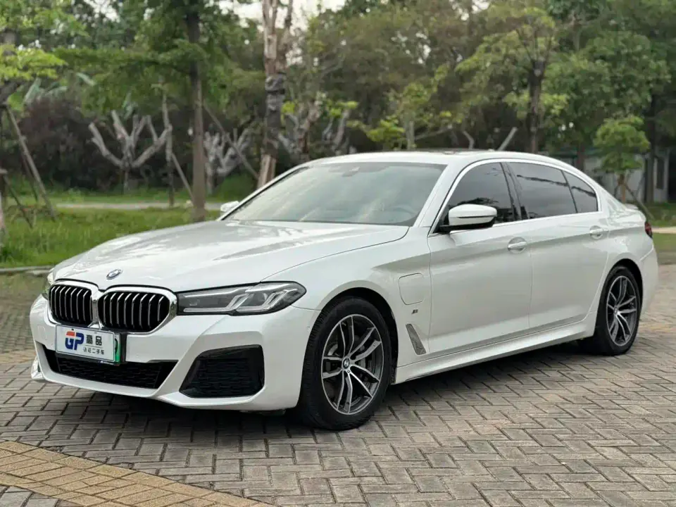 BMW 5 Series New Energy Facelift 535Le Luxury Package 2021