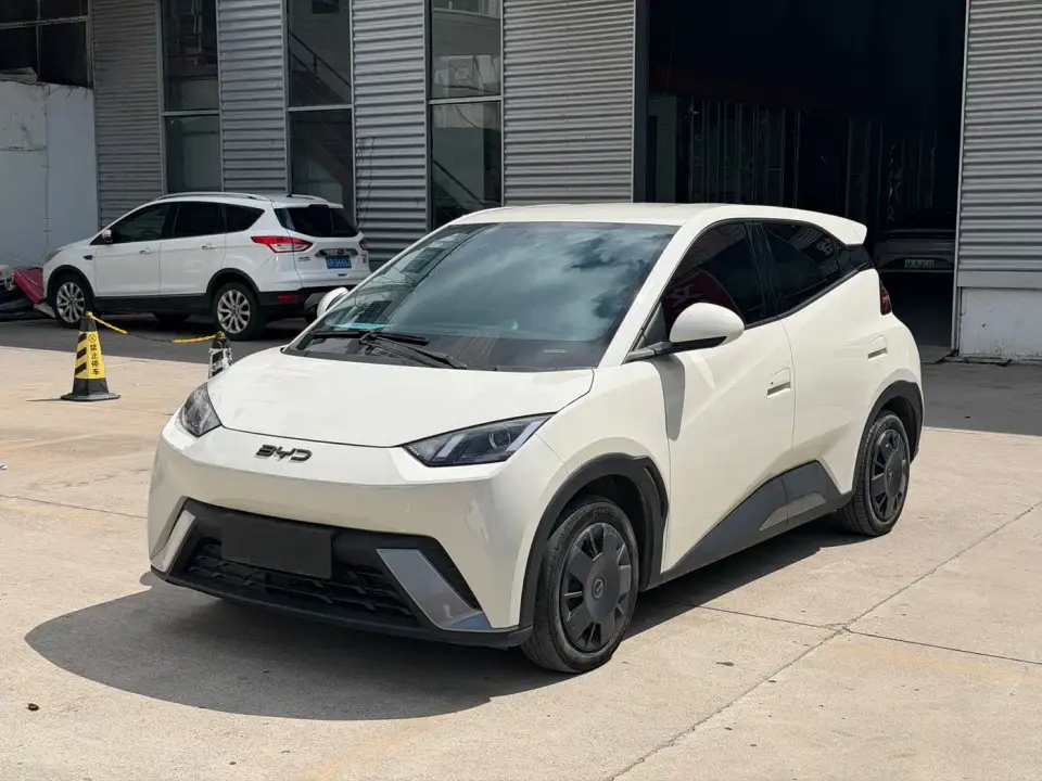 BYD Seagull Glory Edition 305km Vitality Edition 2024