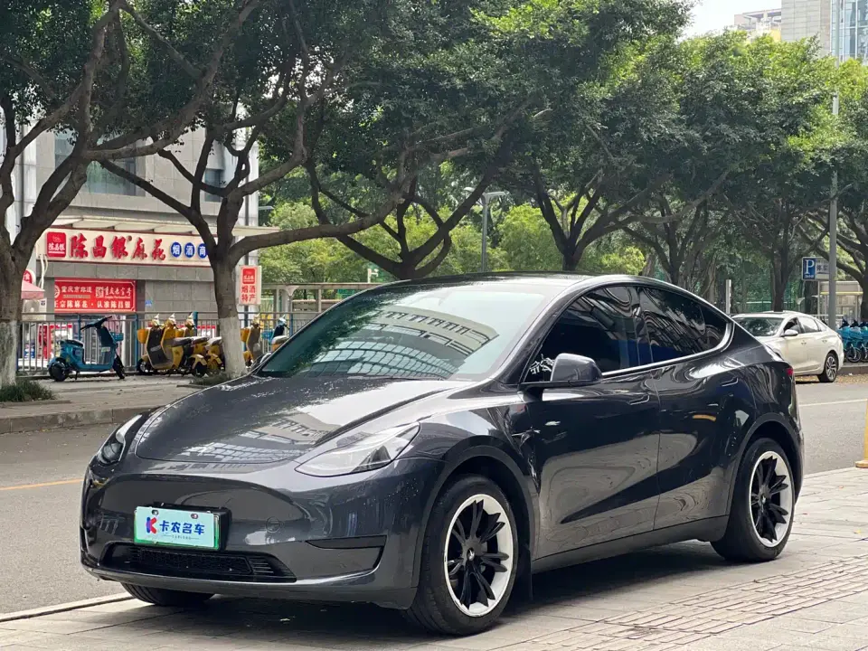 Tesla Model Y Rear-Wheel Drive Version 2024