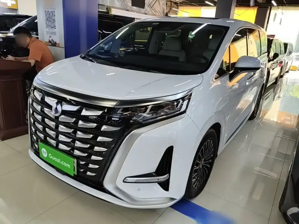 Denza D9 DM-i 980 AWD Prestige 2024