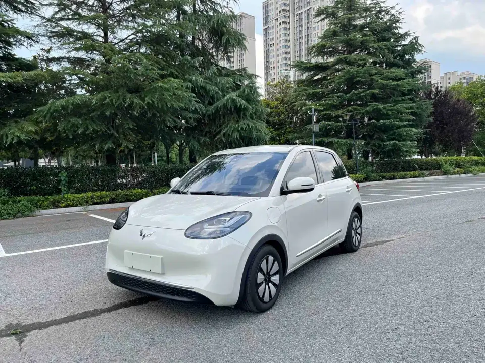 Wuling Motors Wuling Bingo Model 333km Joy+ Version 2023