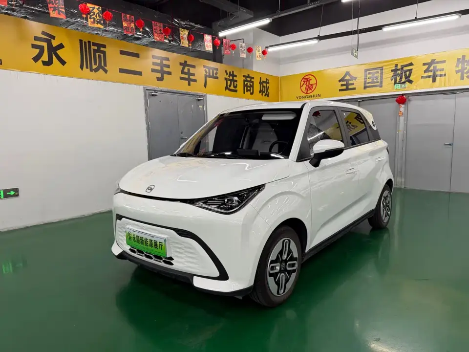 QQ New Energy Duomi 305km Comfort Edition 2025