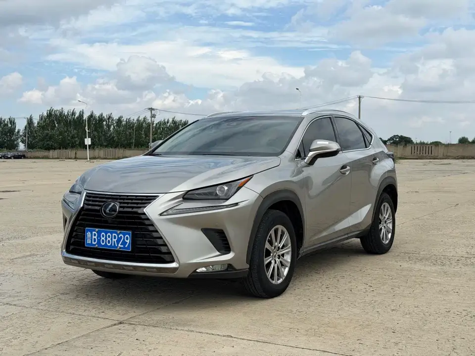 Lexus NX Model 200 AWD Fengshang Edition China V 2019