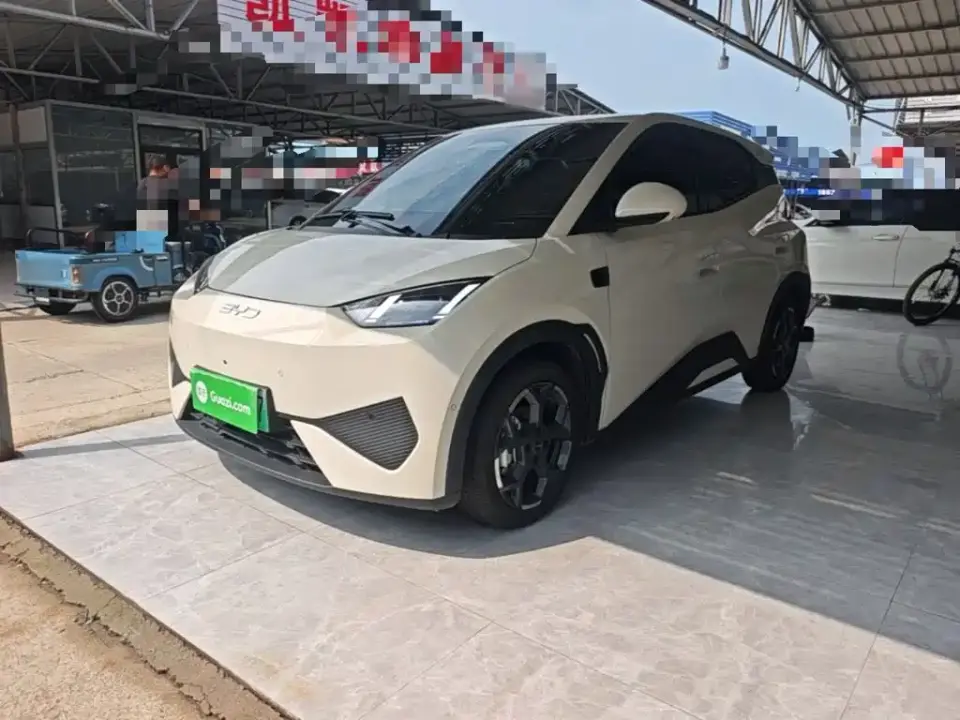 BYD Seagull Smart Drive Edition 305km Freedom Version 2025