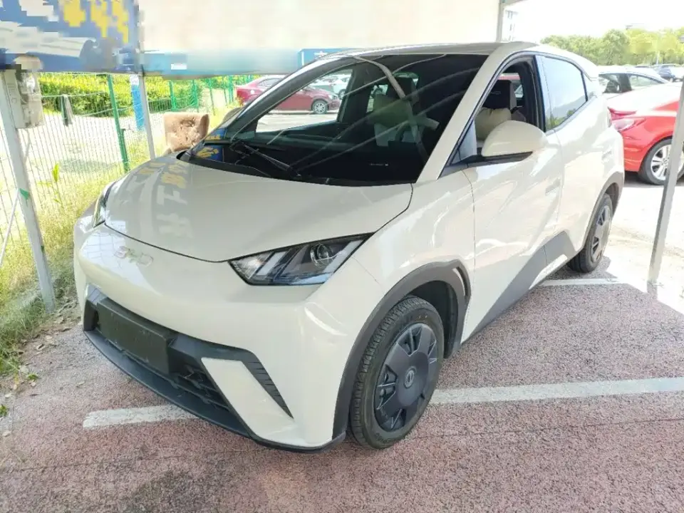 BYD Seagull Glory Edition 305km Vitality Edition 2024