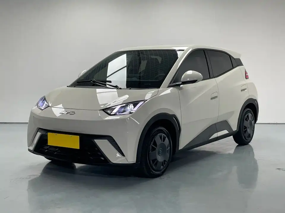 BYD Seagull 305km Vitality 2025