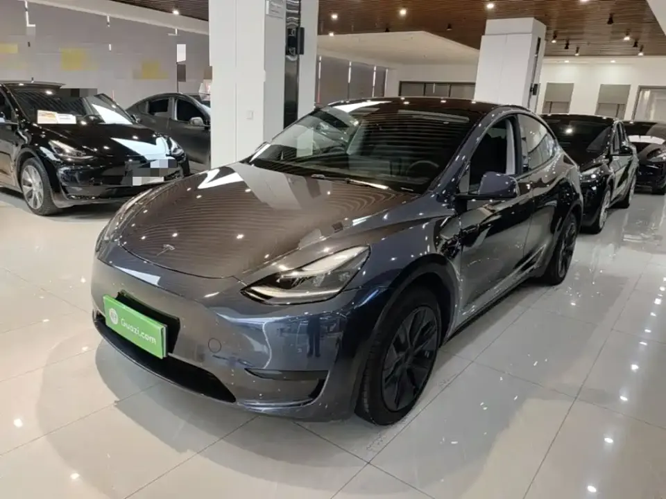 Tesla Model Y Rear-Wheel Drive Version 2024