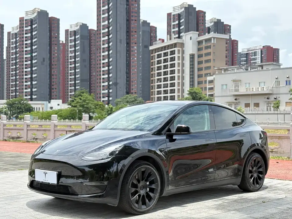 Tesla Model Y Standard Range Rear-Wheel Drive 2021