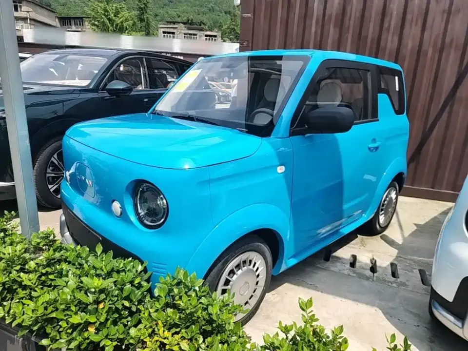 Ruilan Auto Ruilan Blue Elf Base Model 2026