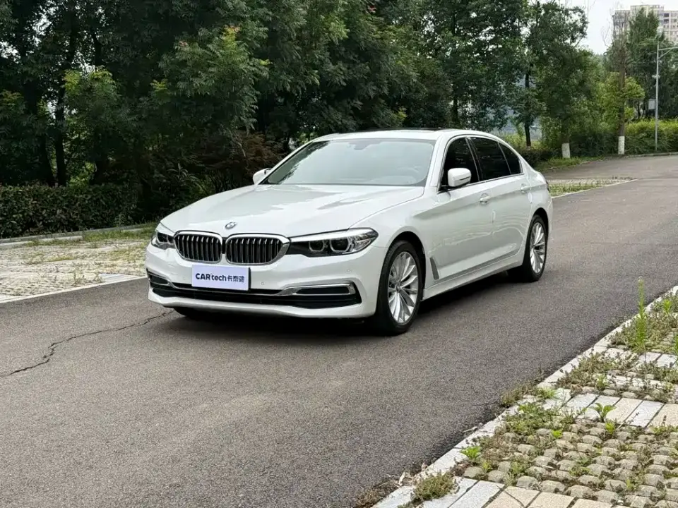 BMW 5 Series 525Li Luxury Package 2020