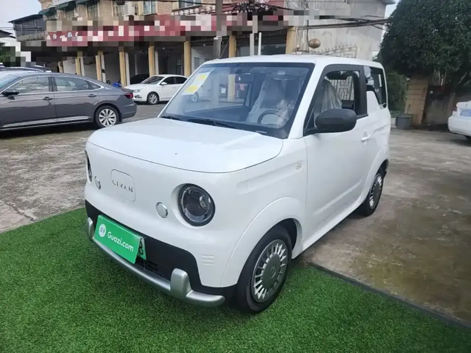 Ruilan Auto Ruilan Blue Elf Base Model 2026