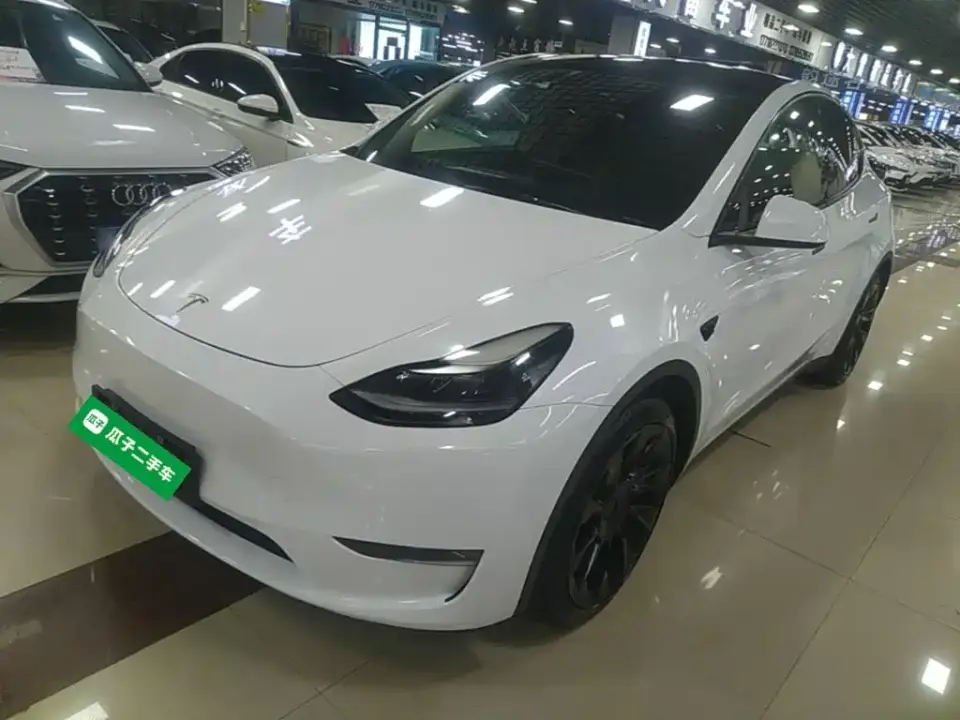 Tesla Model Y Model Long Range AWD 2021