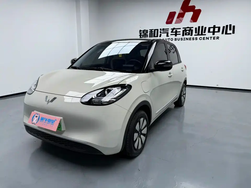 Wuling Motors Wuling Bingo 203km Lite Edition 2025
