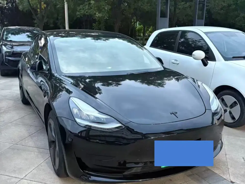 Tesla Model 3 Standard Range Rear-Wheel Drive Upgrade 2020