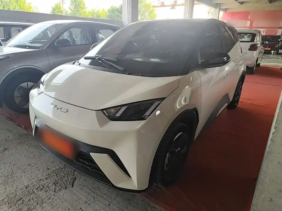 BYD Seagull Freedom Edition 2024