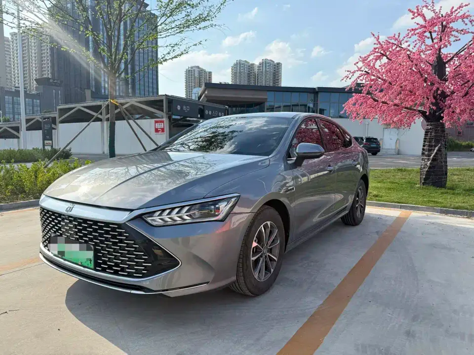 BYD Qin PLUS Glory Edition DM-i 55KM Leading 2024
