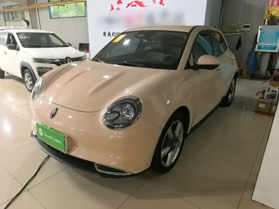 ORA Good Cat 401km Standard Range Luxury LFP 2024