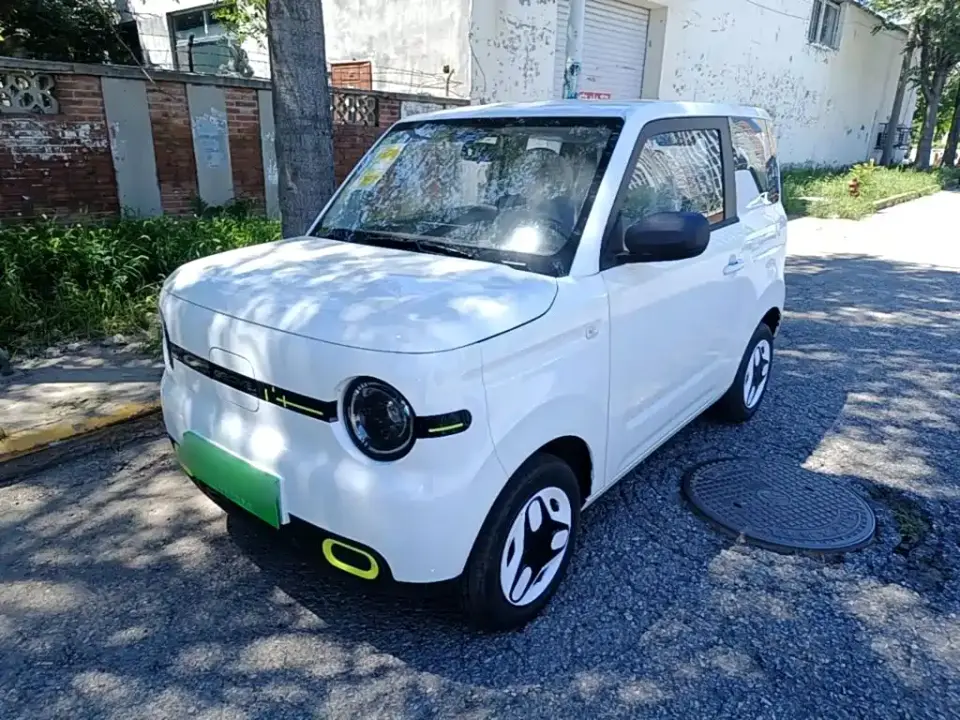Geely Galaxy Panda Panda mini 210km Vitality Bear 2026