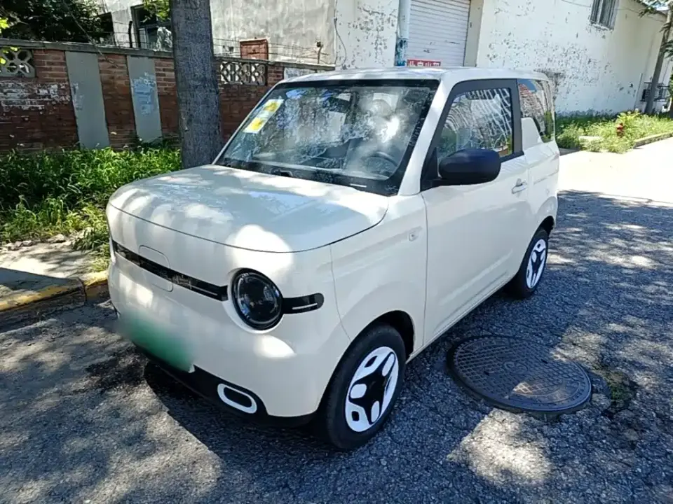 Geely Galaxy Panda Panda mini 210km Vitality Bear 2026