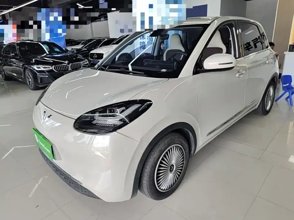 Wuling Motors Wuling Bingo 203km Comfort Version 2023