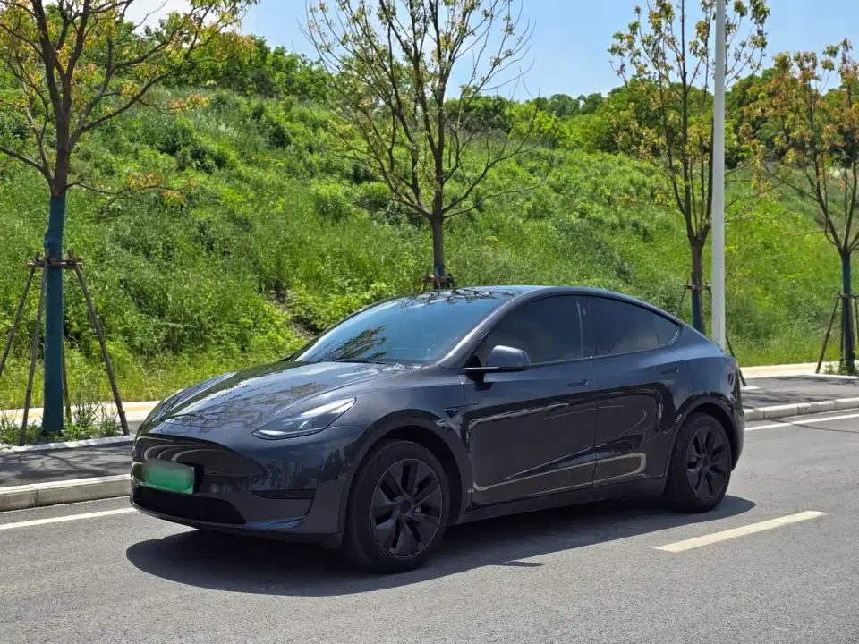 Tesla Model Y Rear-Wheel Drive Version 2024