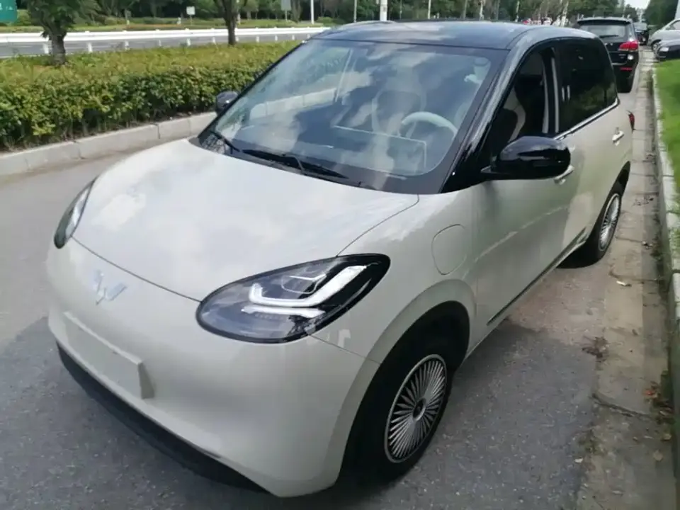 Wuling Motors Wuling Bingo 333km Smart Connect Edition 2024