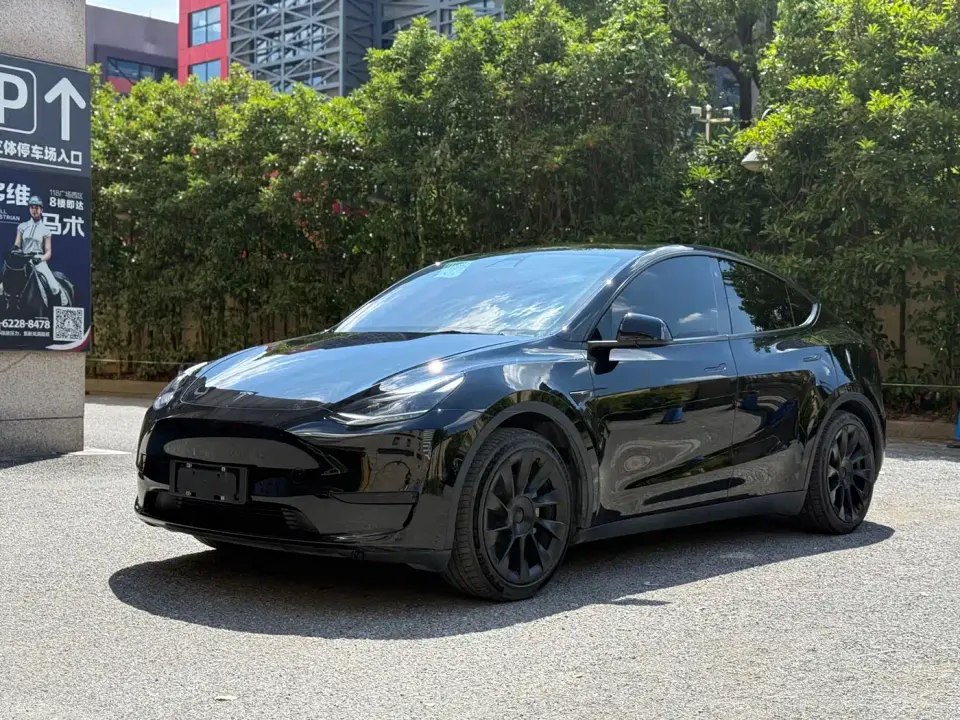 Tesla Model Y Rear-Wheel Drive Version 2022