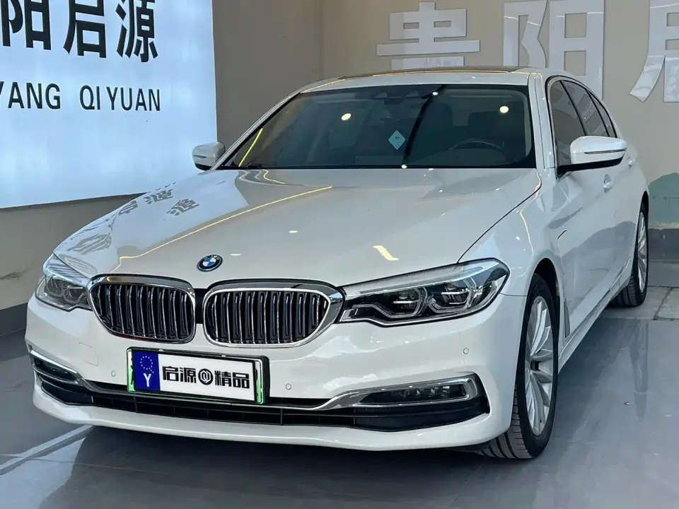 BMW 5 Series New Energy 530Le Luxury Package 2019