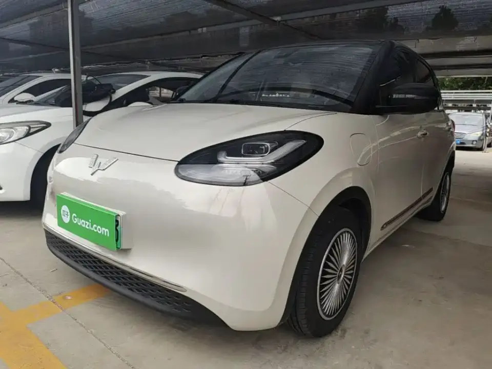 Wuling Motors Wuling Bingo Model 333km Joy+ Version 2023