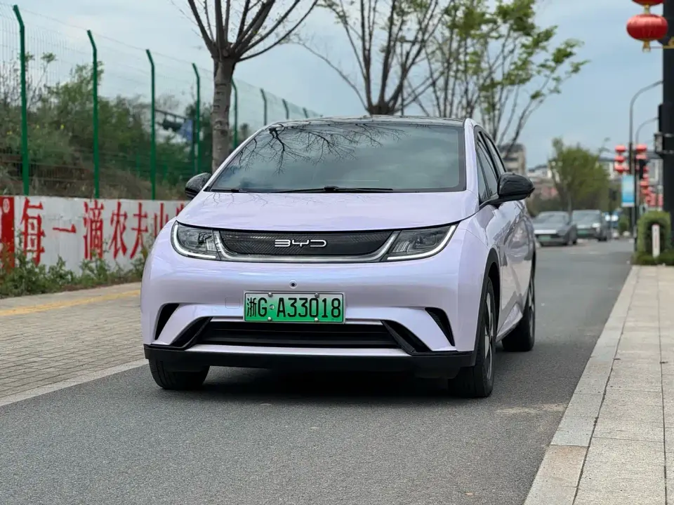 BYD Dolphin 420km Fashion Edition 2023