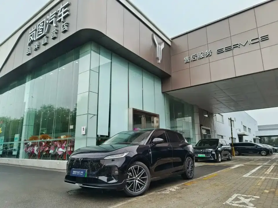 Voyah Auto Voyah Zhiyin Base 2025