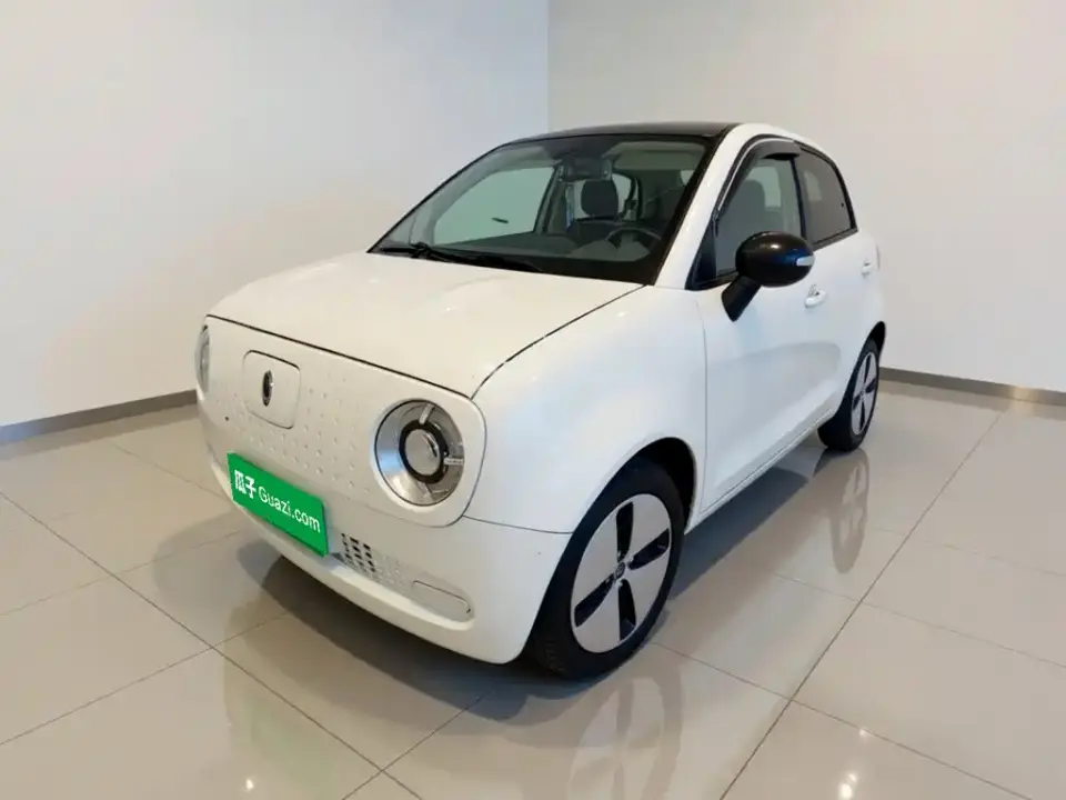 ORA Black Cat 301km Pet Edition 2021