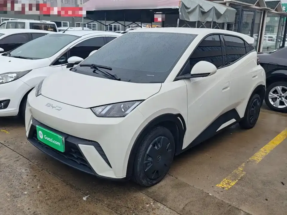 BYD Seagull Vitality Edition 2024