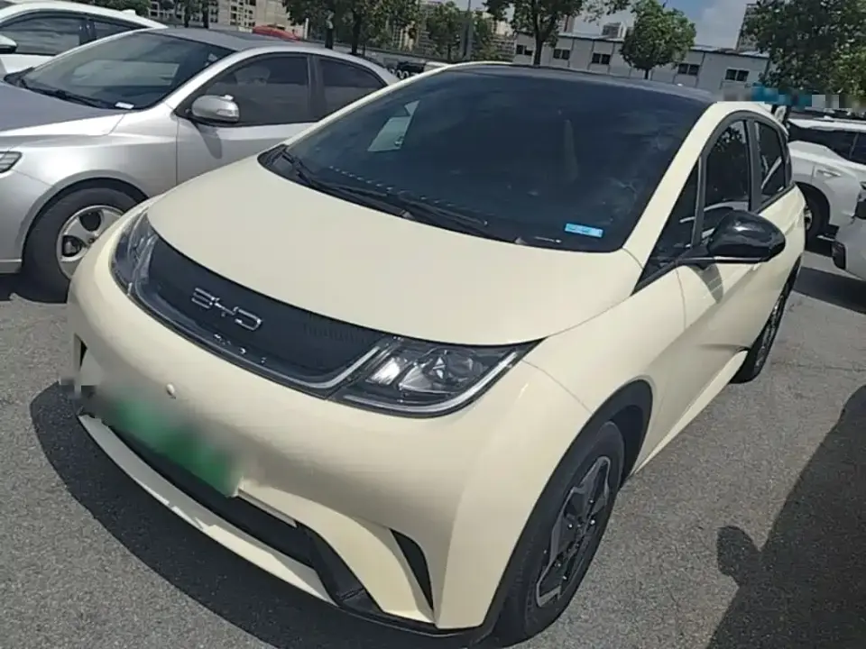 BYD Dolphin Model 405km Fashion Edition 2022