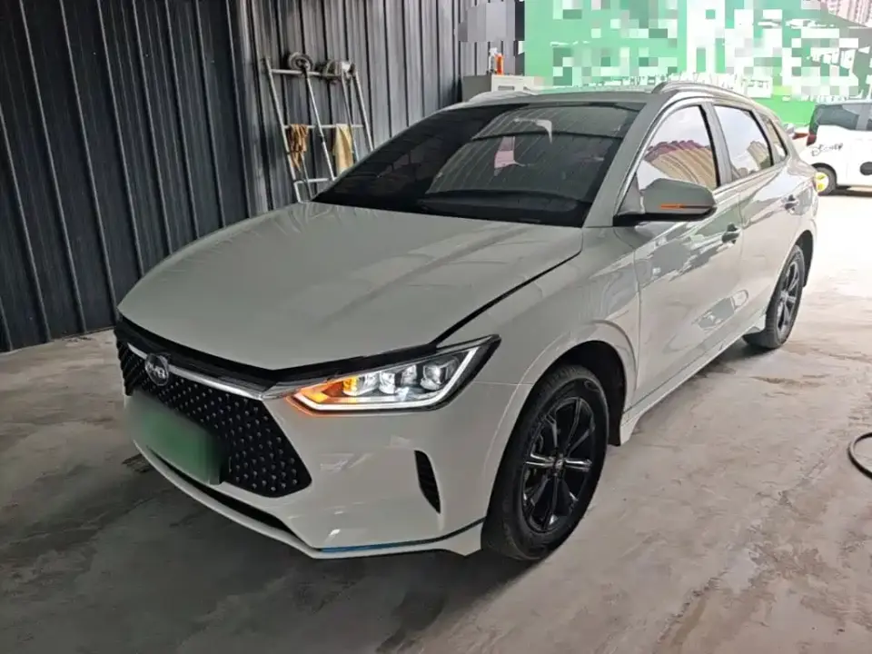 BYD e2 Upgraded Long Range Luxury 2020